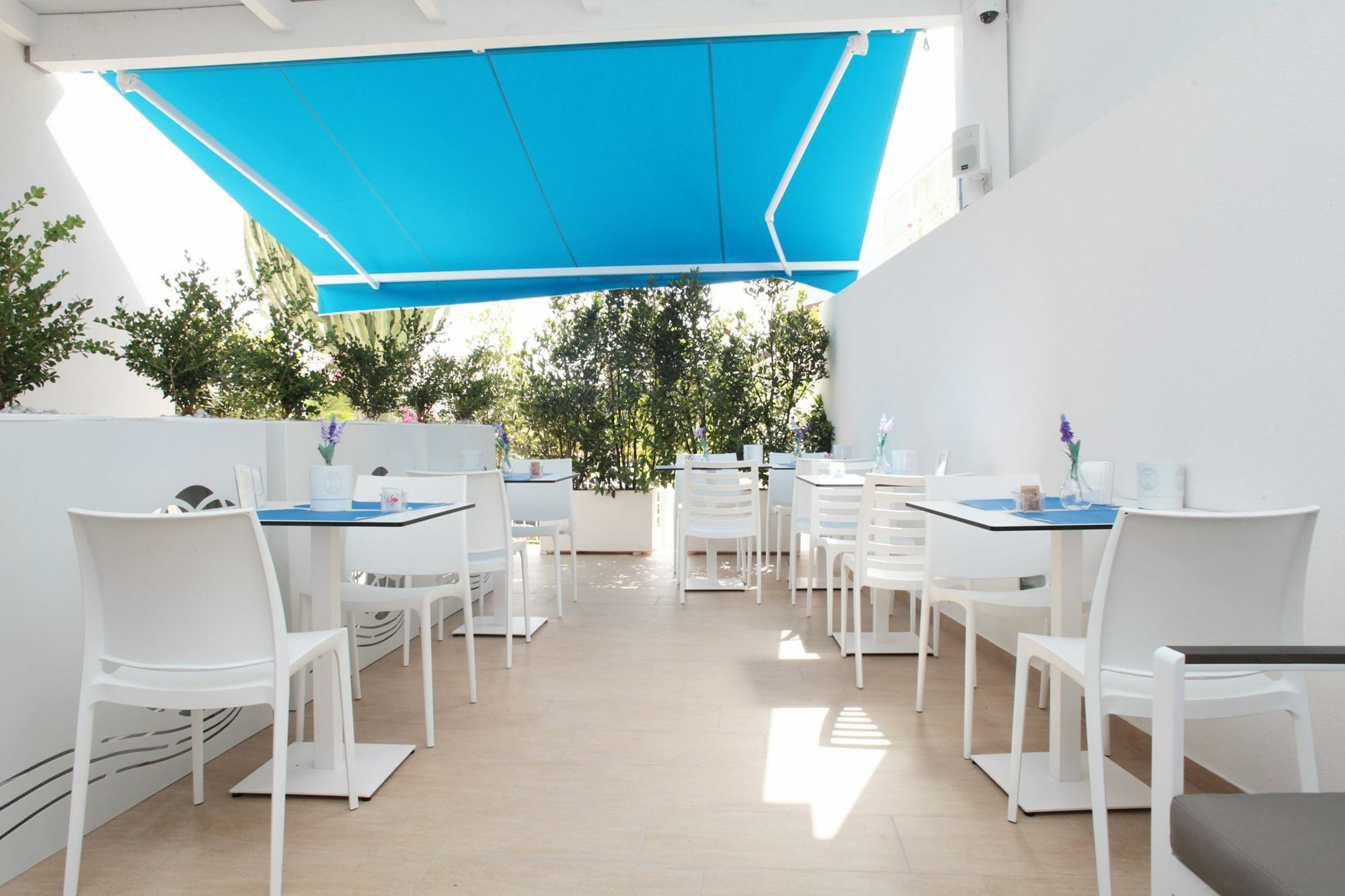 Rivazzurra Design Rooms San Vito Lo Capo Extérieur photo